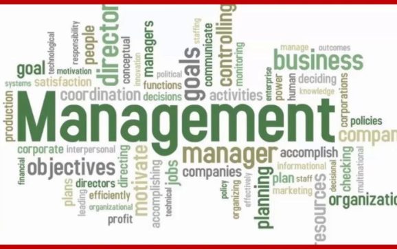 Les spécialisations en management les plus demandées