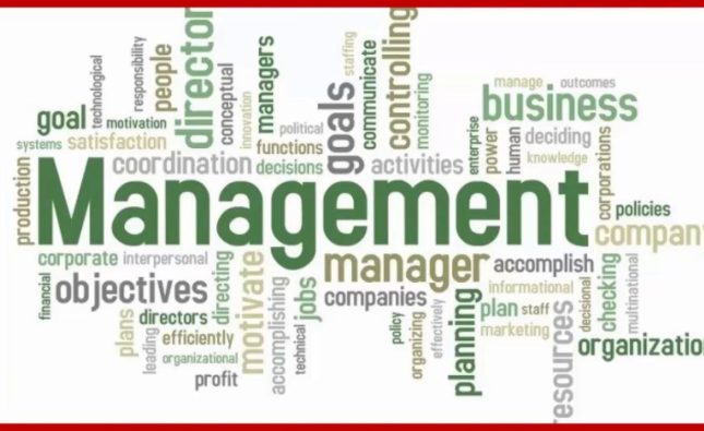 Les spécialisations en management les plus demandées